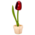 Nijhuis  Große rote Topftulpe, 20 cm