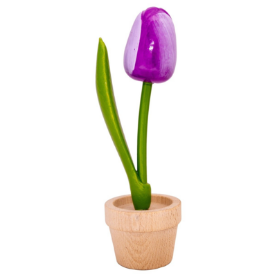 Nijhuis  Große violette Tulpe im Topf, 20 cm