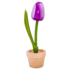 Nijhuis  Große violette Tulpe im Topf, 20 cm