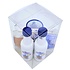 van Meers Holland Likeur - Stroopwafels en Delfts blauw glaasje in giftbox