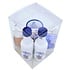 van Meers Holland Liqueur - Stroopwafels and Delft Blue glass in gift box