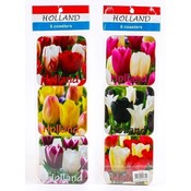 Typisch Hollands Coasters Tulips