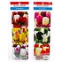 Matix Onderzetters Tulpen