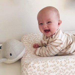 Flow Hartslag Knuffel Moby the Whale met muziek  - Grey