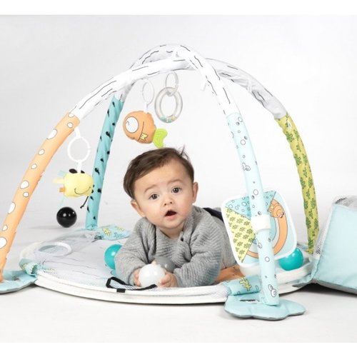 Tryco Ball Pit Activity Gym - Frog/kikker Tryco Ball Pit Activity Gym - Frog/kikker