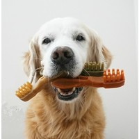 Whimzees Toothbrush Star S Dental sticks