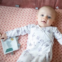 Buggy booklet - buggy boekje