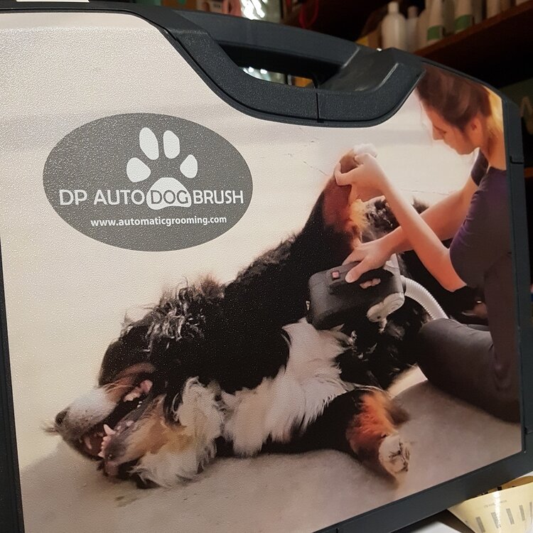 Dp auto dog brush hot sale