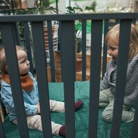 Bamboo Parkinlegger Boxkleed - Aspen Green