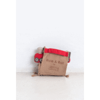 Eco Ride & Roll-trein