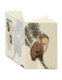 Little Brown Owl Journal CB28