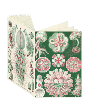 Ernst Haeckel Journal CB27