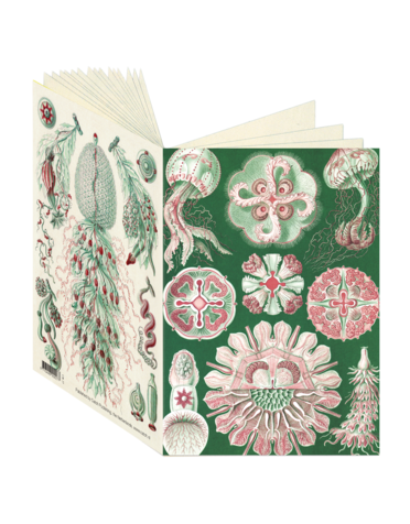 Ernst Haeckel Journal CB27