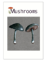 Mushrooms Postcard Pack