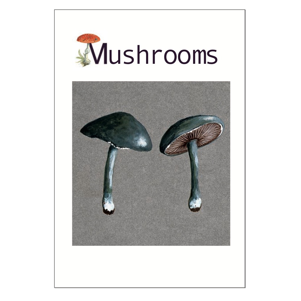 Mushrooms Postcard Pack