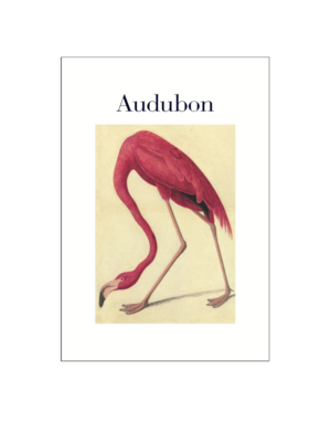 Audubon Postcard Pack PP050