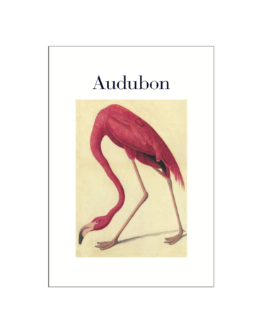 Audubon Postcard Pack PP050