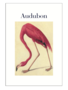 Audubon Postcard Pack PP050