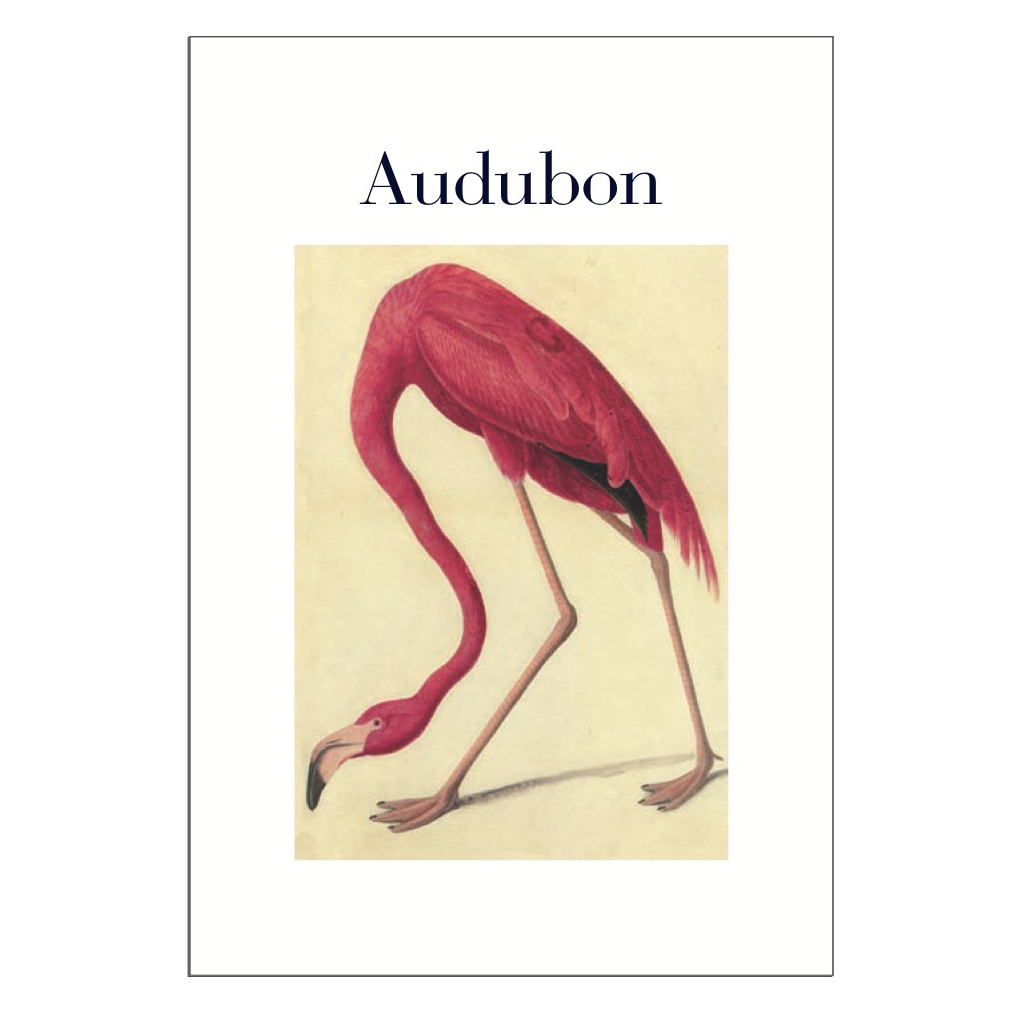 Audubon Postcard Pack PP050