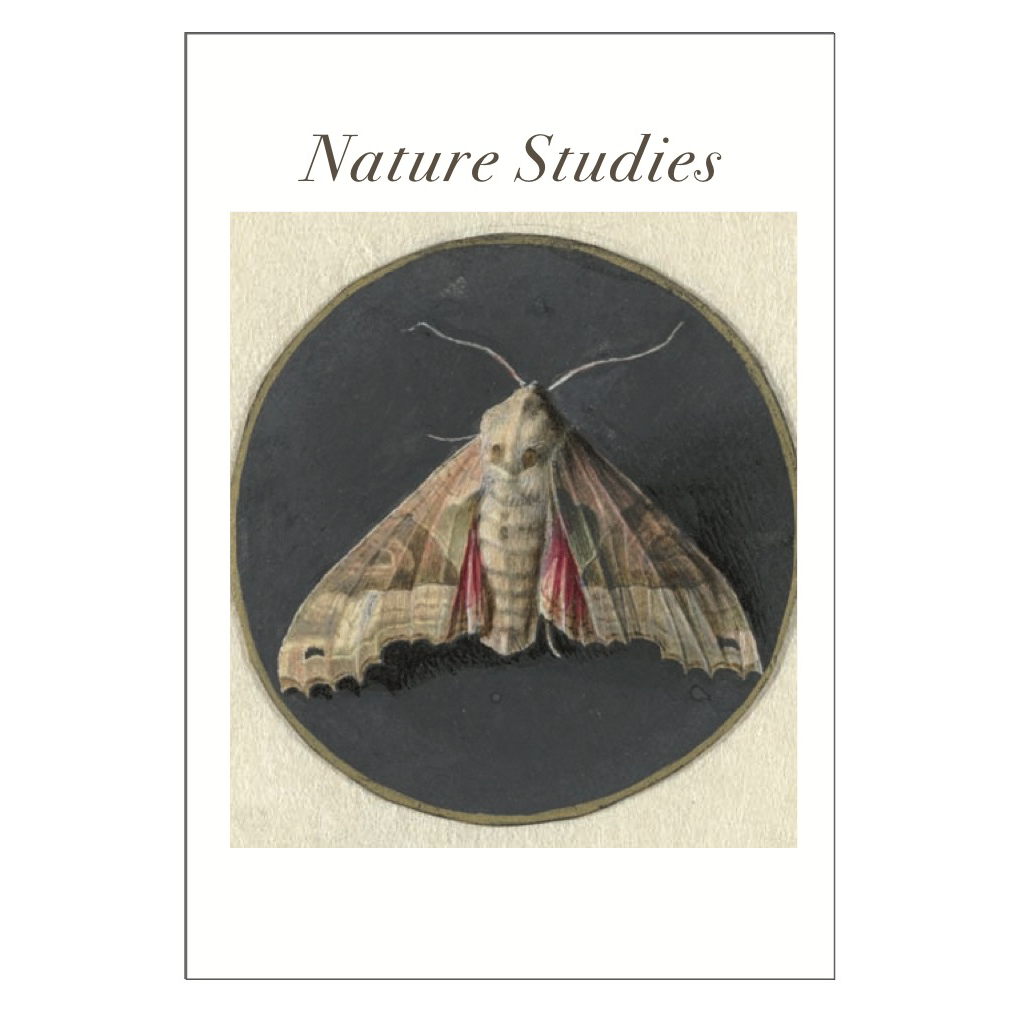 Nature Studies Postcard Pack