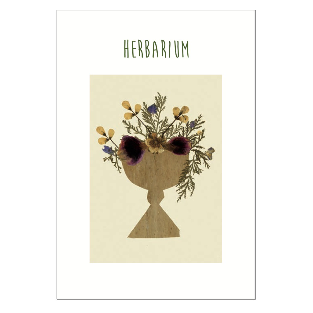 Herbarium Postcard Pack