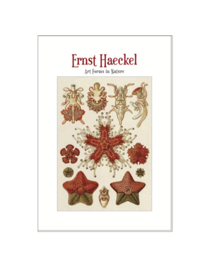 Art Forms in Nature, Ernst Haeckel Postcard Pack PP047