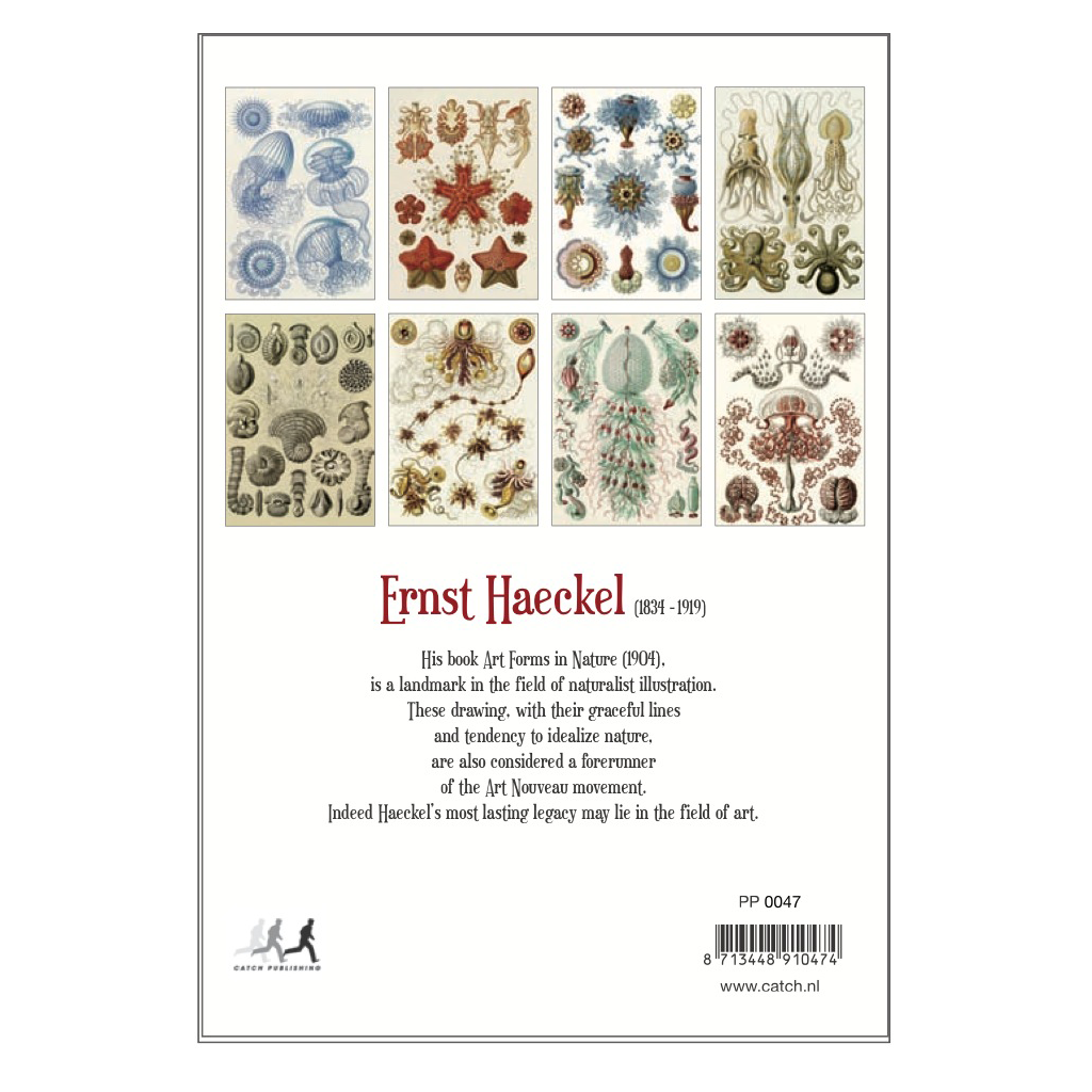 Art Forms in Nature, Ernst Haeckel Postcard Pack PP047