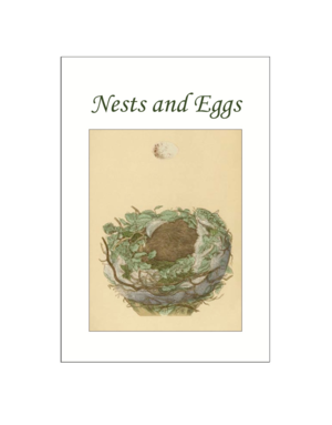 Nests and Eggs Postcard Pack