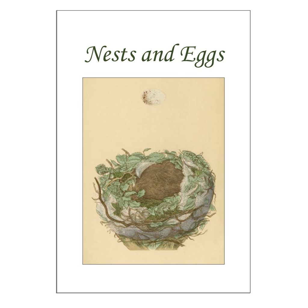 Nests and Eggs Postcard Pack