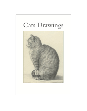 Cats Drawings Postcard Pack PP038