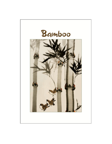 Bamboo Postcard Pack