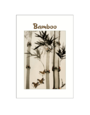 Bamboo Postcard Pack