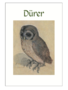Dürer Postcard Pack PP025