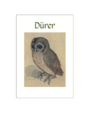 Dürer Postcard Pack PP025