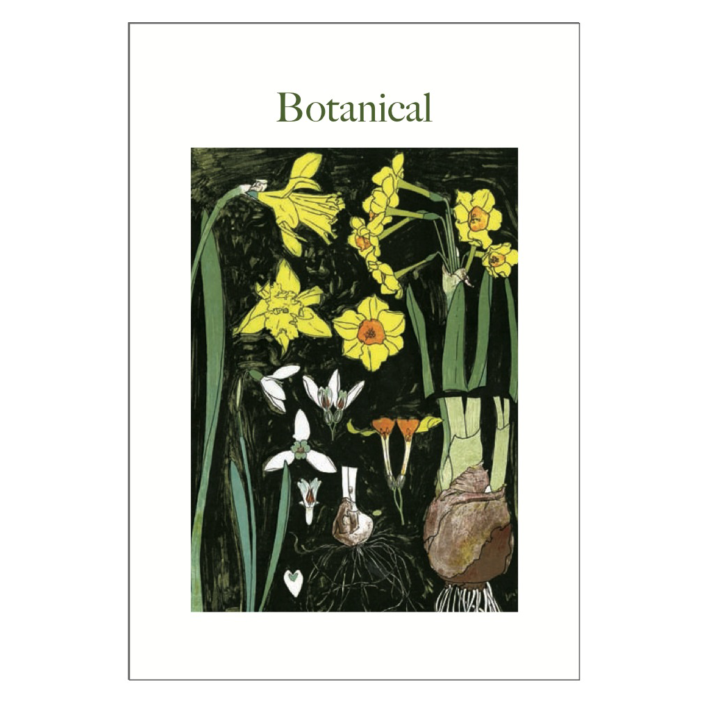 Botanical Postcard Pack PP023