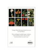 Botanical Postcard Pack PP023