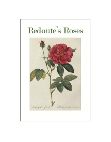 Redoute's Roses Postcard Pack PP018