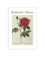 Redoute's Roses Postcard Pack PP018