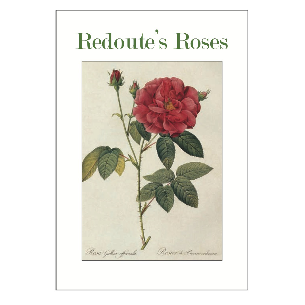 Redoute's Roses Postcard Pack PP018