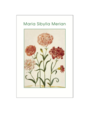 Maria Sybilla Merian Postcard Pack