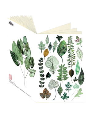 Leaf Collection I Journal CB193