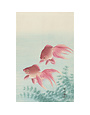 Catch Publishing Songbird on Blossom, Ohara Koson PRINT