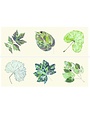 Set of 6 Leaves Coasters