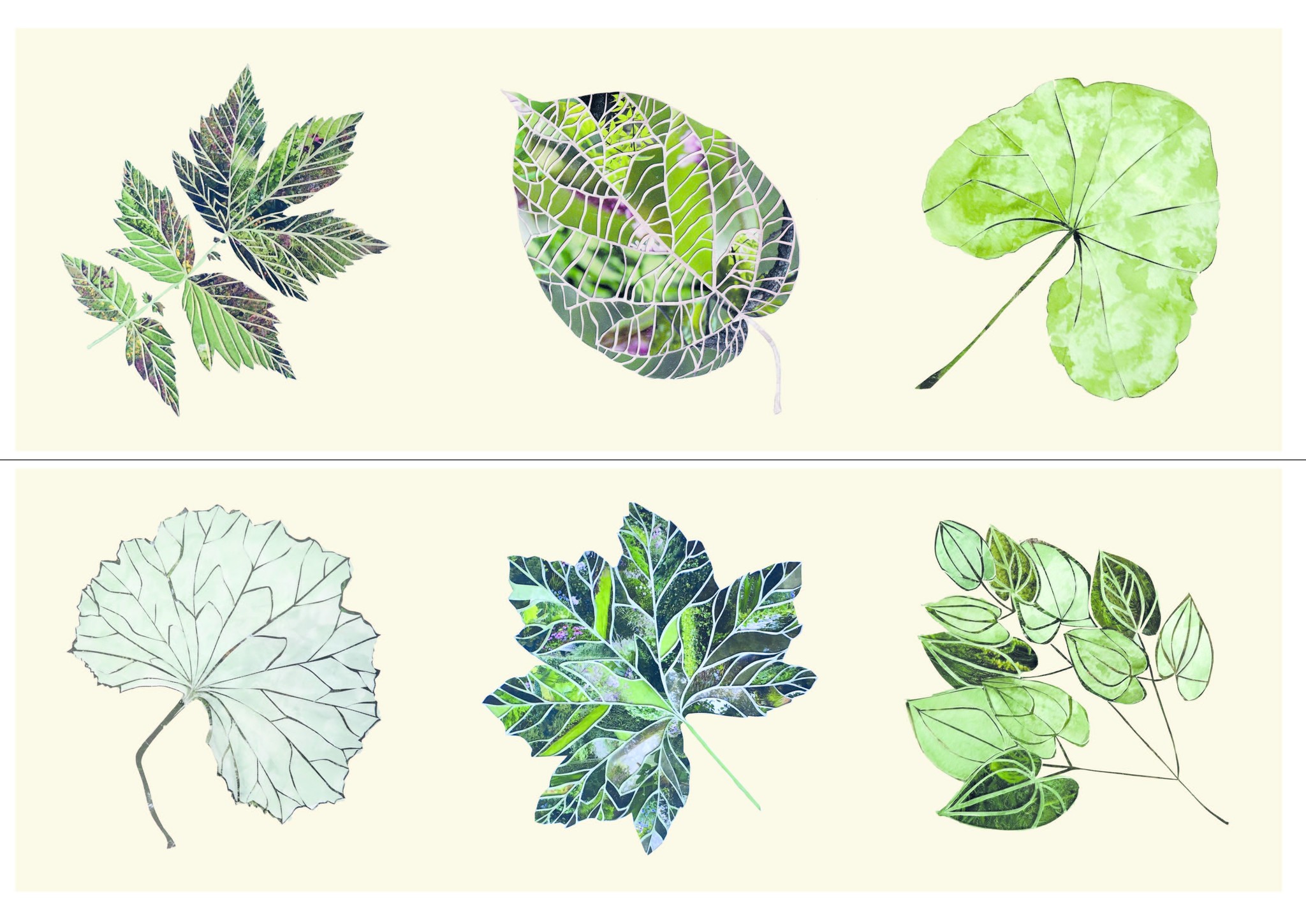 Set of 6 Leaves Coasters