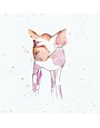 Set of 6 Animal Magic Coasters by Kate Moore