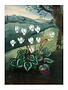 Botanical Print, Cyclamen