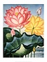 Botanical Print, The Sacred Egyptian Bean