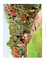 Vintage Classroom Poster - Flower Garden