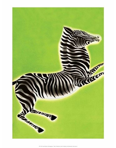 Zebra