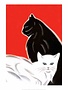 Black and White Cats